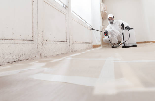 24/7 Emergency Mold Remediation experts in Ingleside, TX
